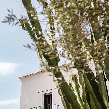 Legado Ibiza Santa Eulalia del Río